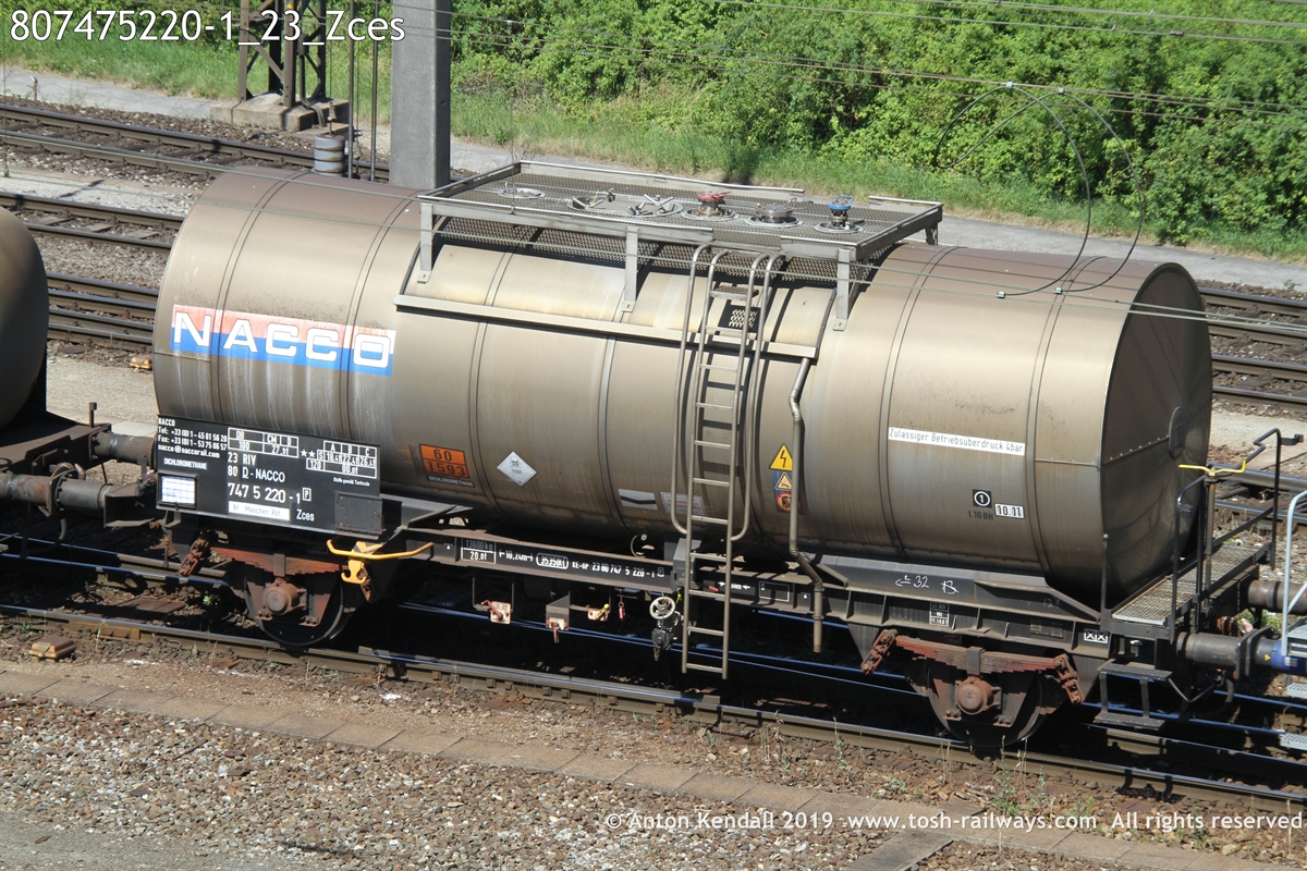 807475220-1_23_Zces.JPG